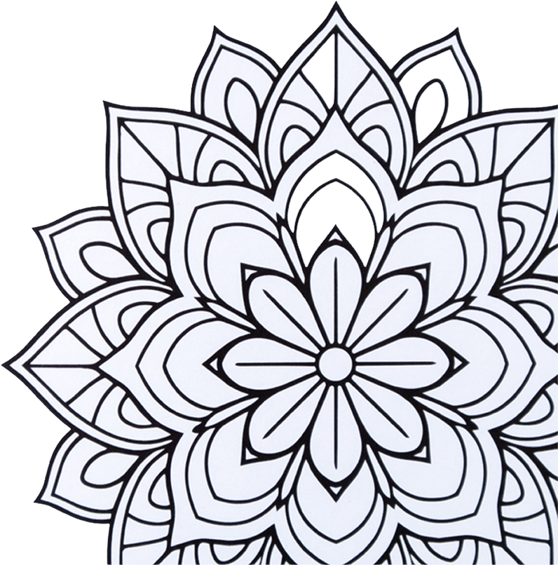 Bd.3